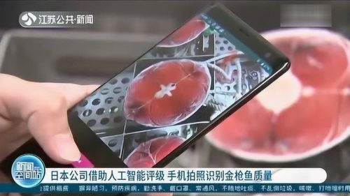 日本公司研發(fā)人工智能評(píng)級(jí)系統(tǒng) 用手機(jī)拍照識(shí)別金槍魚質(zhì)量，引領(lǐng)AI應(yīng)用軟件開發(fā)新浪潮
